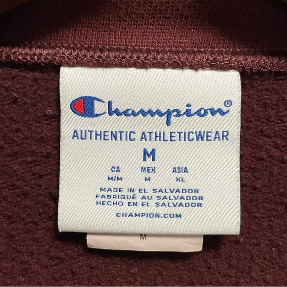 Champion Burgundy Panorama Mountain Resort Varsity Crewneck Sweatshirt Men M - Picture 9 of 12
